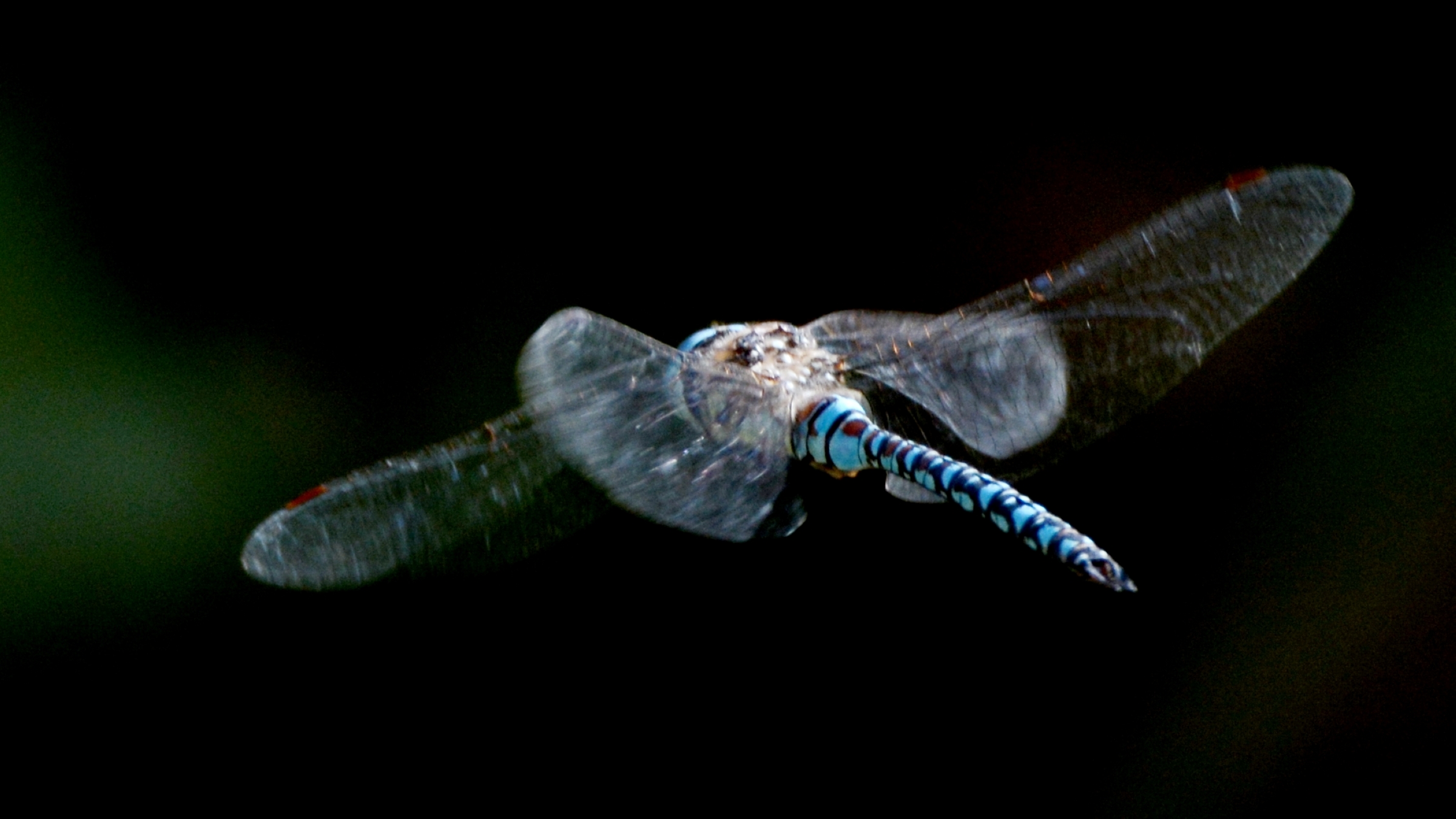 nDSC_6617.jpg