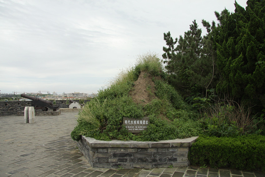 img_7411_.jpg