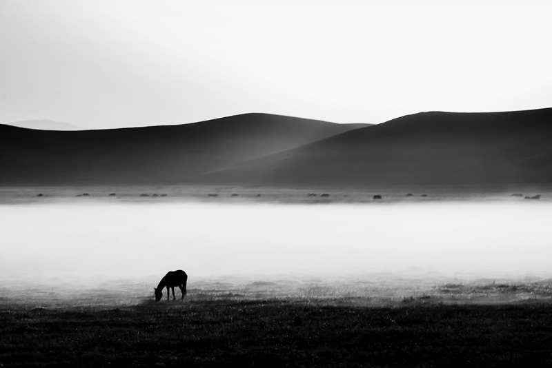 Morning fog-800.jpg