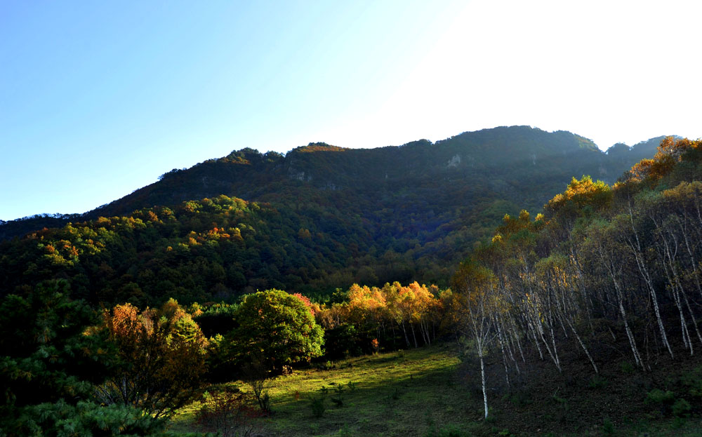 DSC_4776.JPG