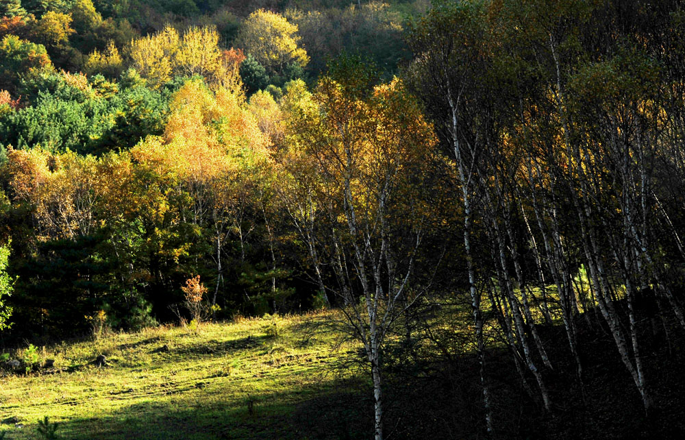 DSC_4788.JPG