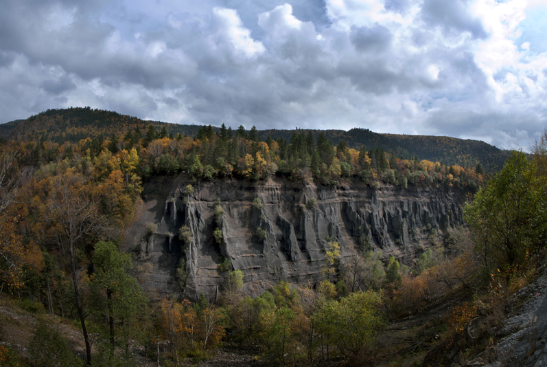 DSC_0403 Ѽ̽Ͽ .jpg
