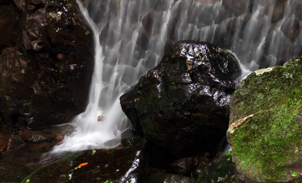 DSC_5136.JPG