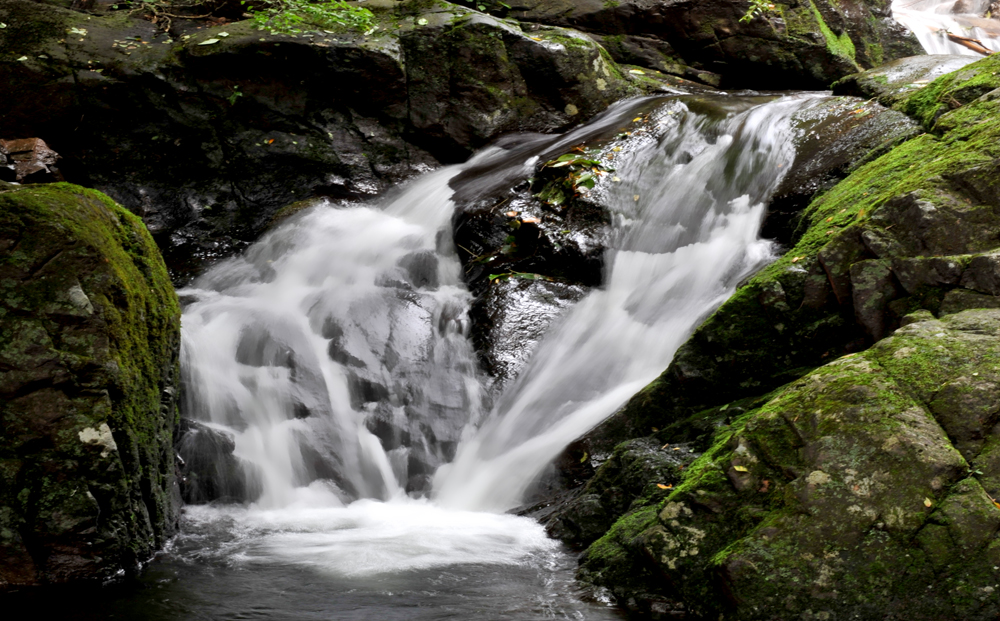 DSC_5138.JPG