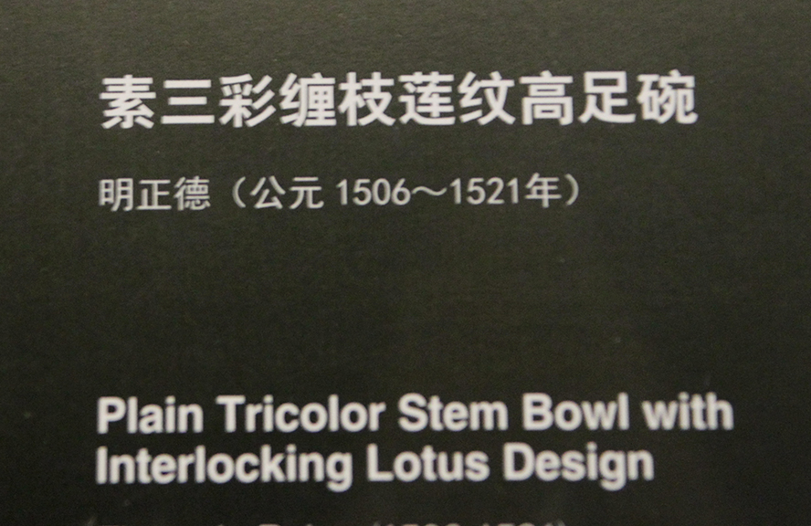 IMGL3669.jpg