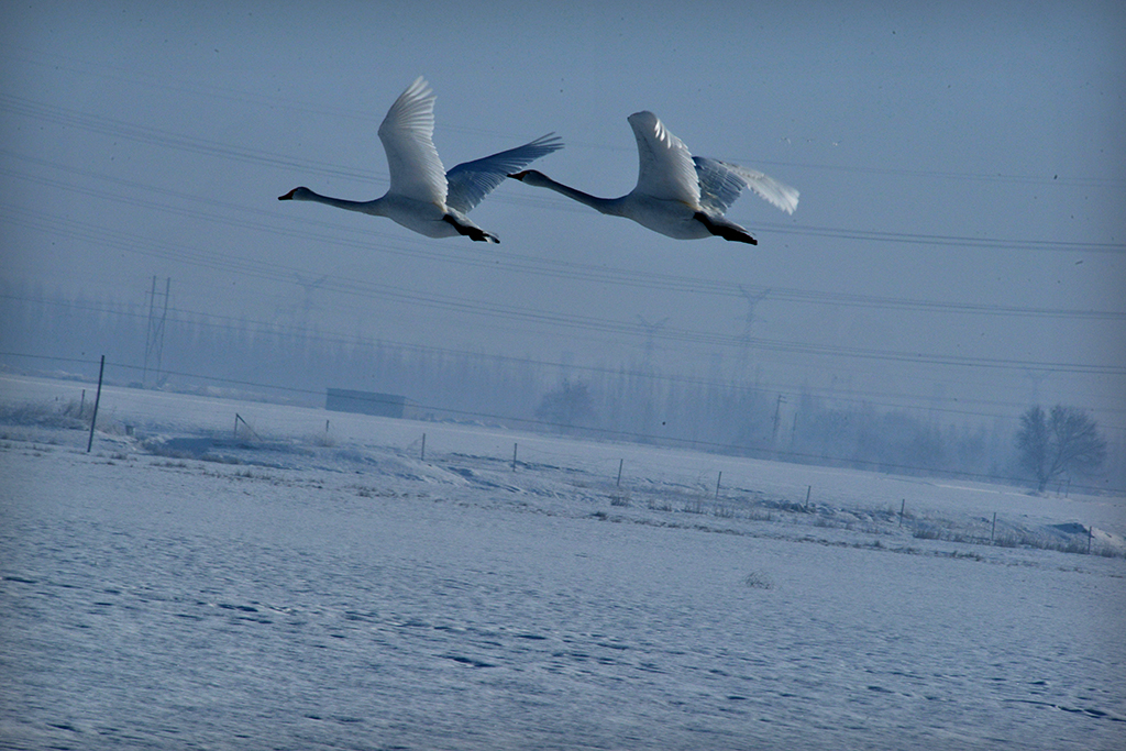 DSC_3943-1.jpg