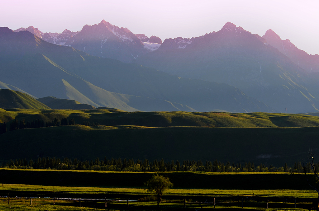 DSC_6963-1.jpg