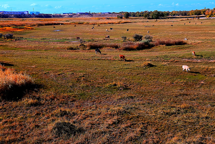 ĽŲ (2).jpg
