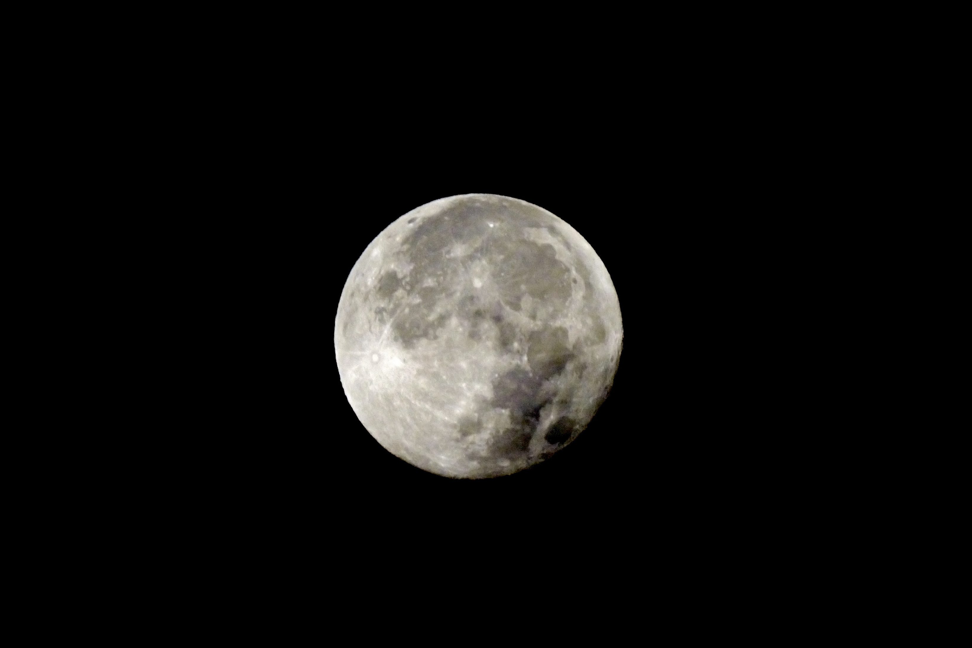 _DSC7049.jpg