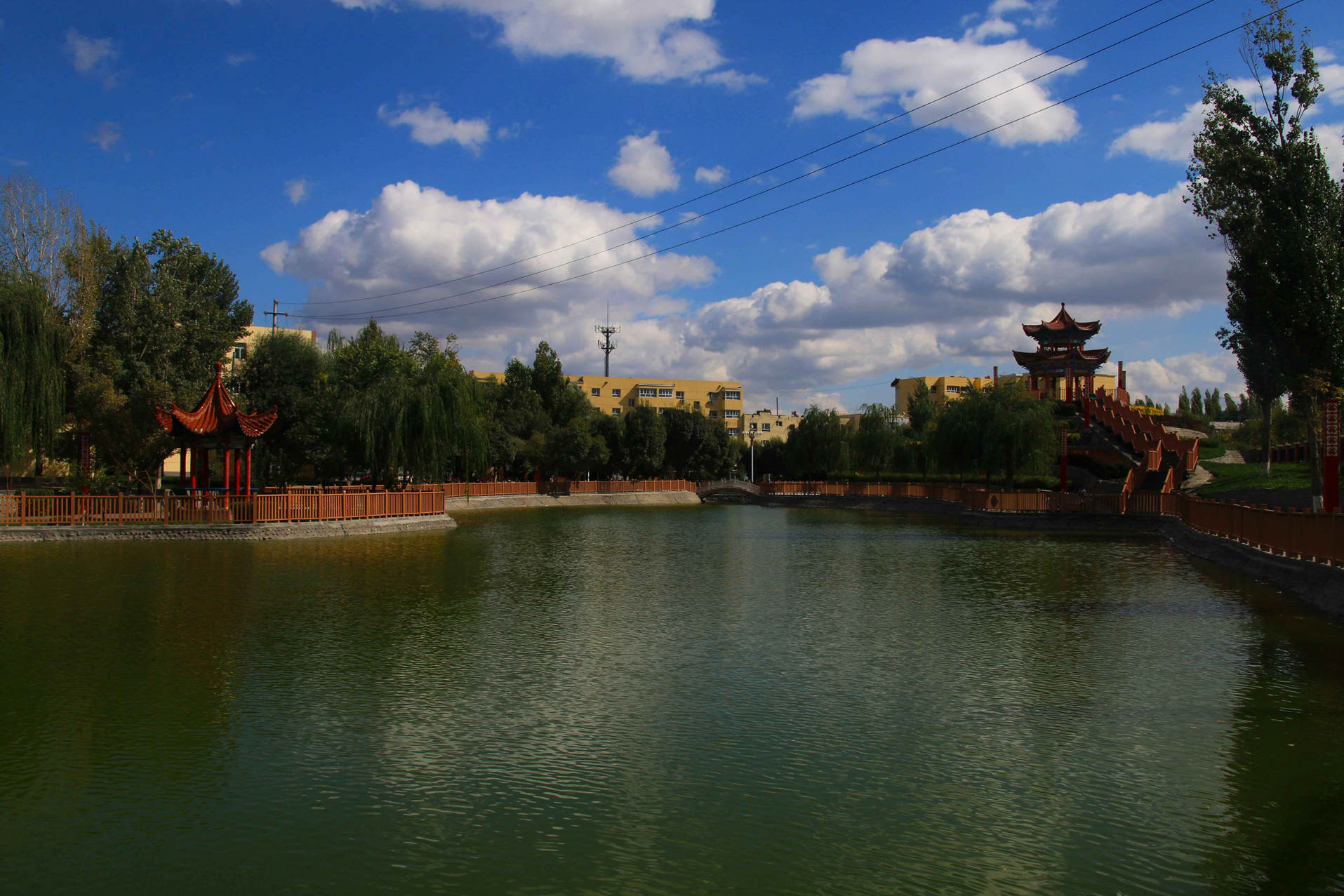IMG_2314__.jpg