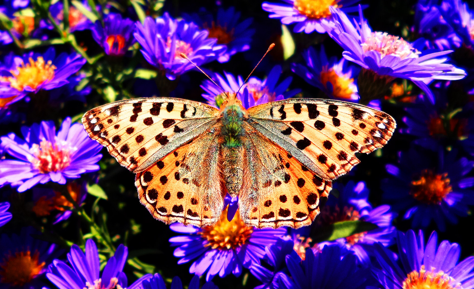 n20151003_141614.jpg