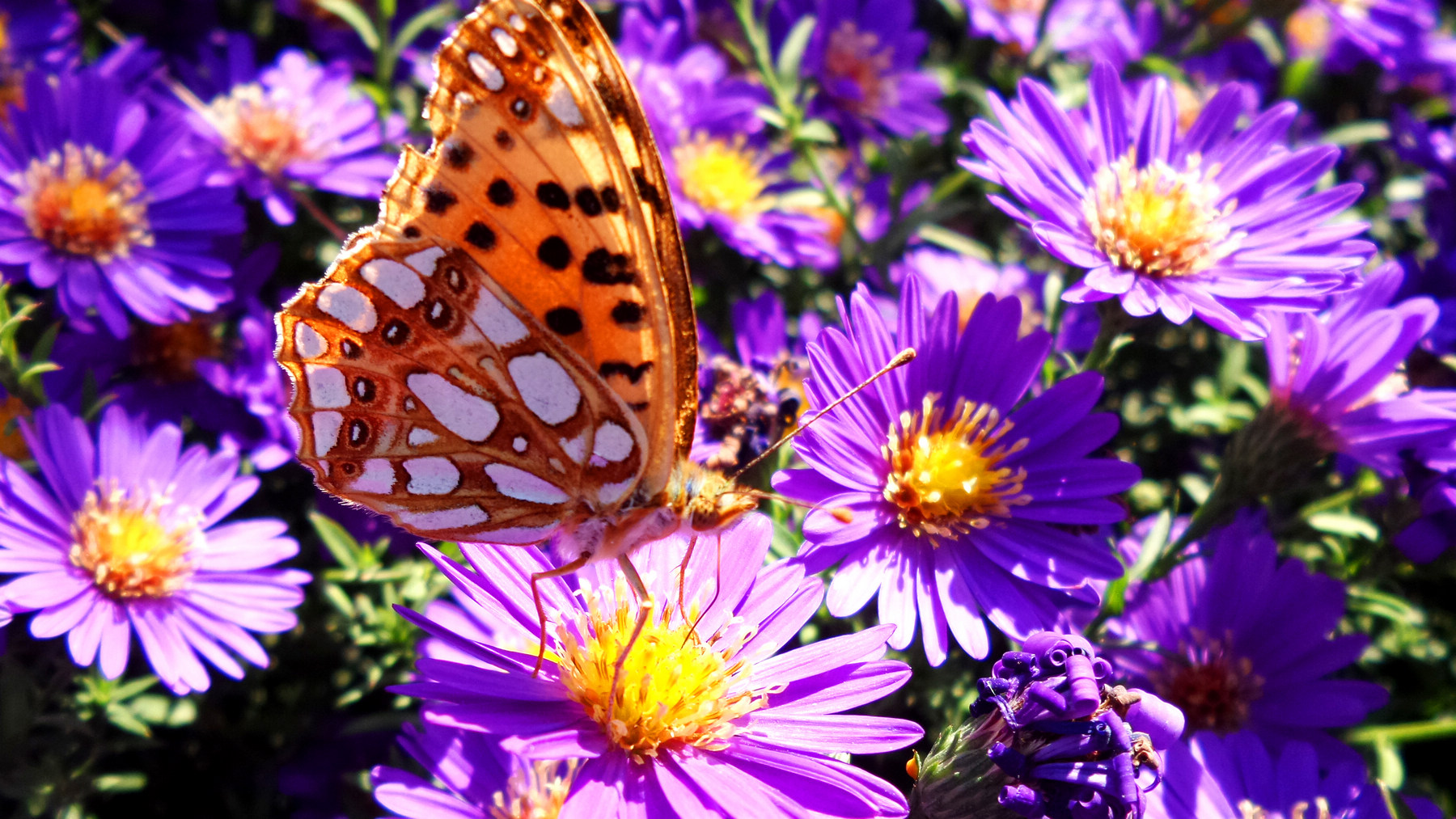 n20151003_141733.jpg