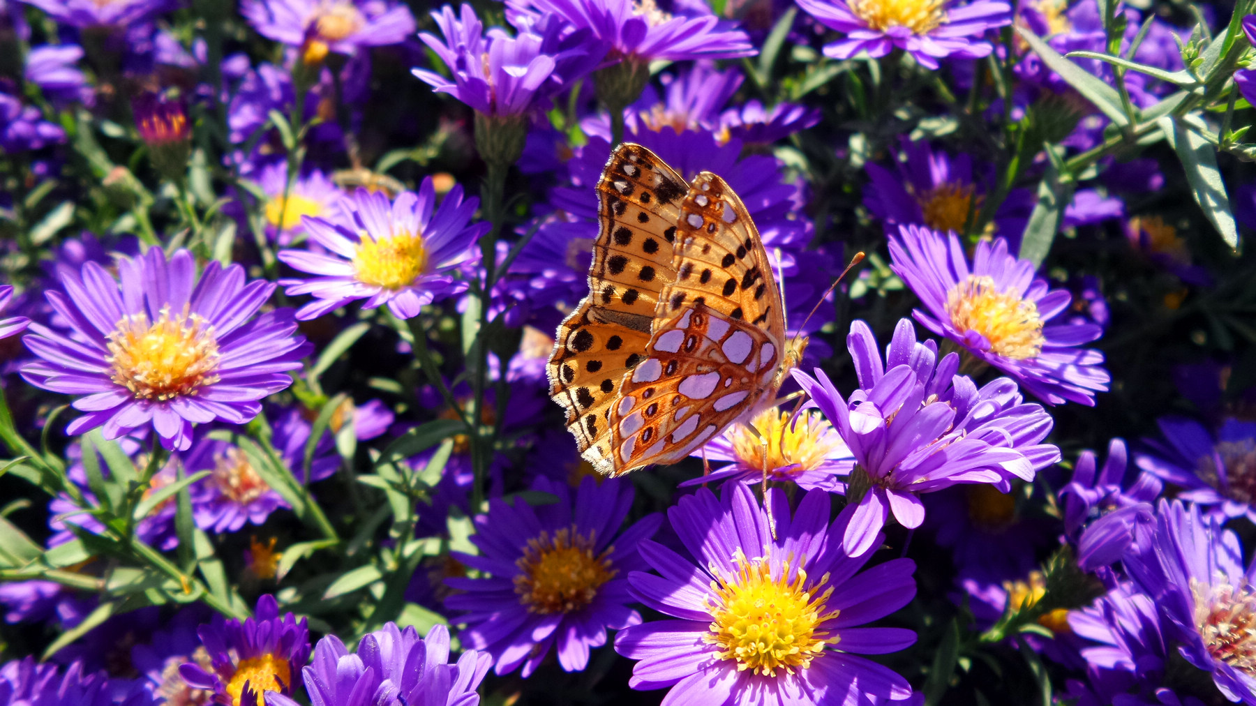 n20151003_141619.jpg