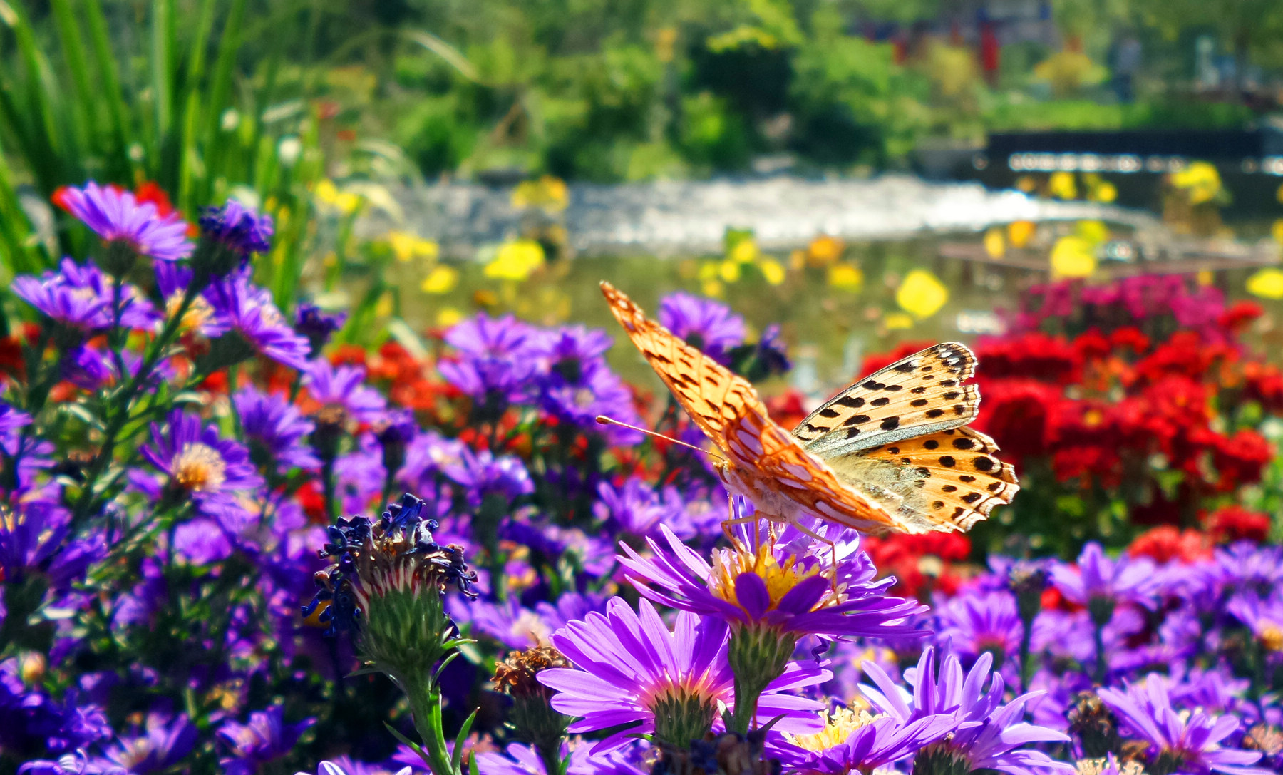 n20151003_141839.jpg