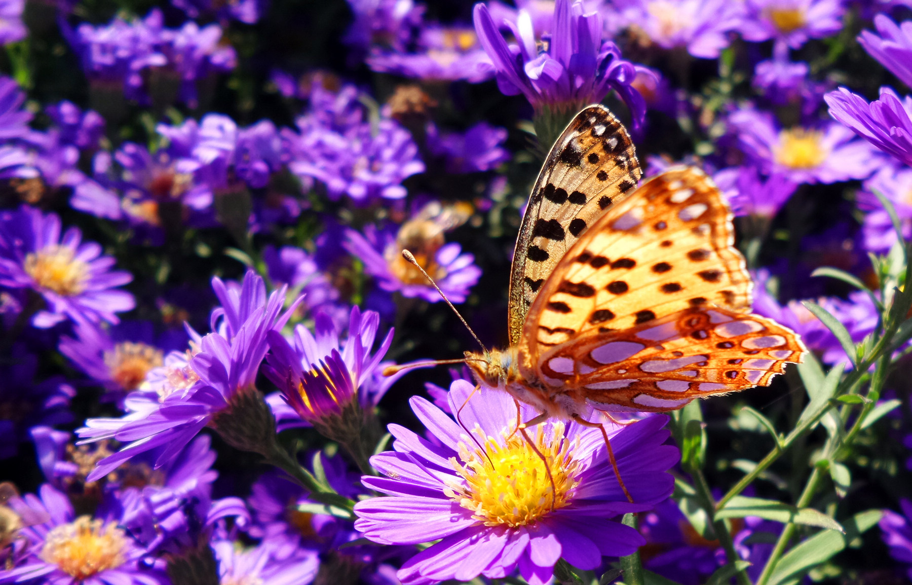 n20151003_141659.jpg