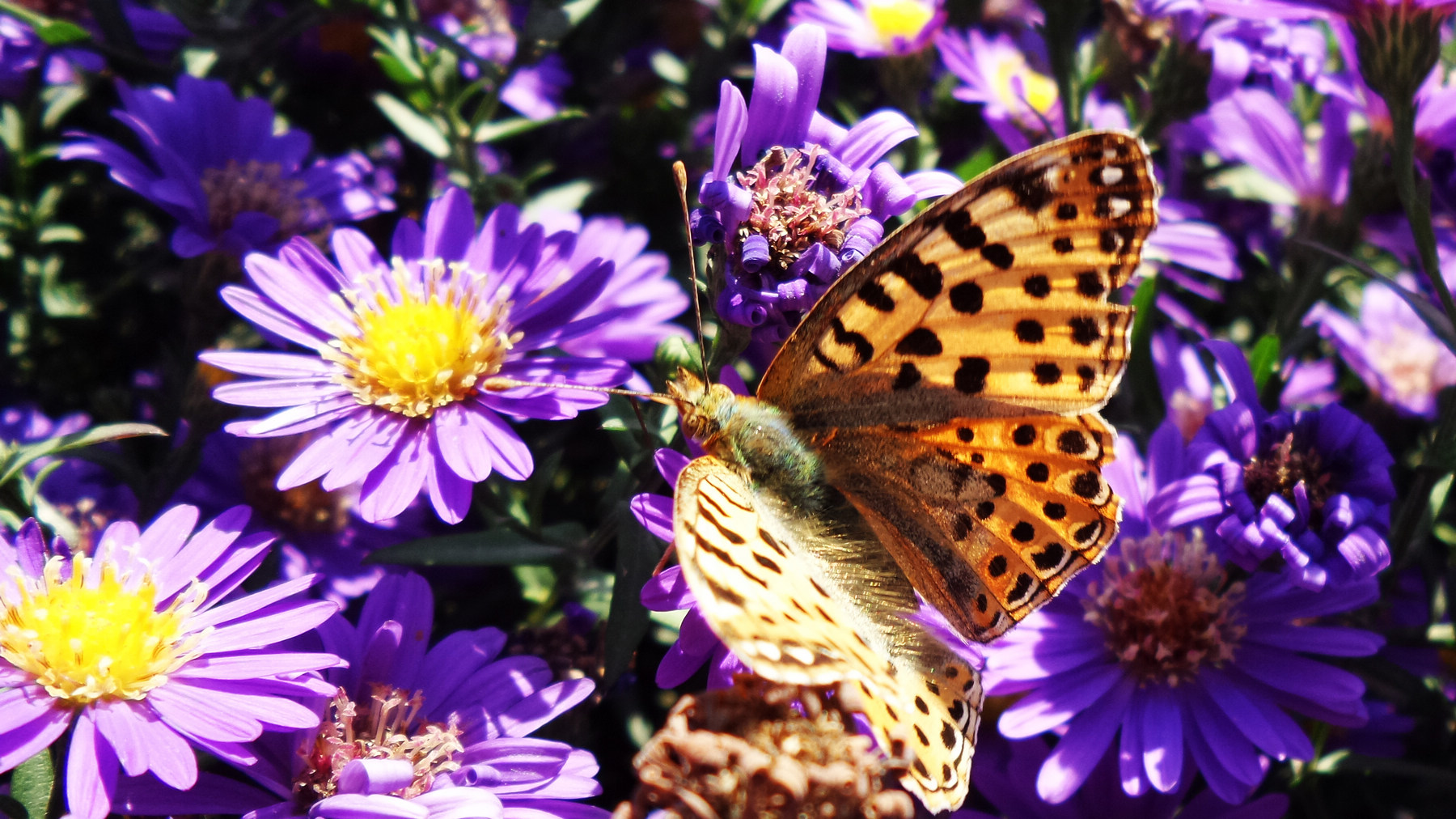 n20151003_142107.jpg