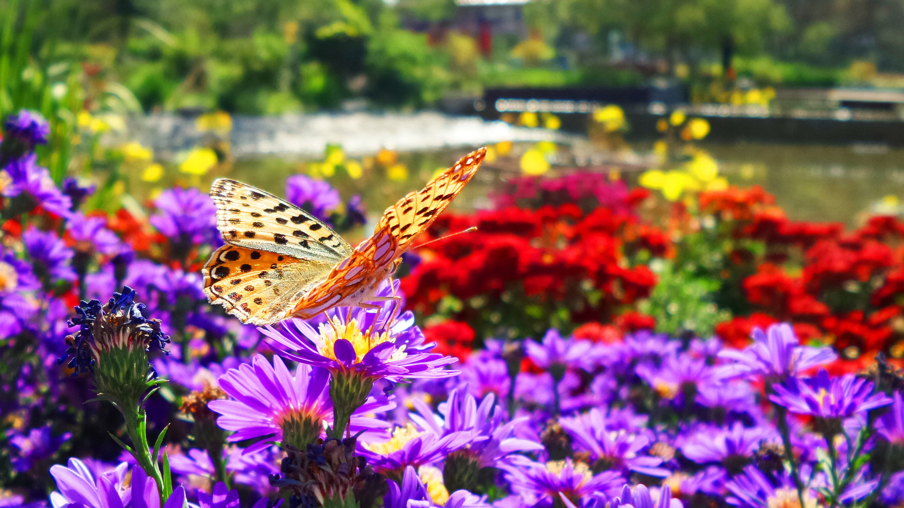 n20151003_141842.jpg