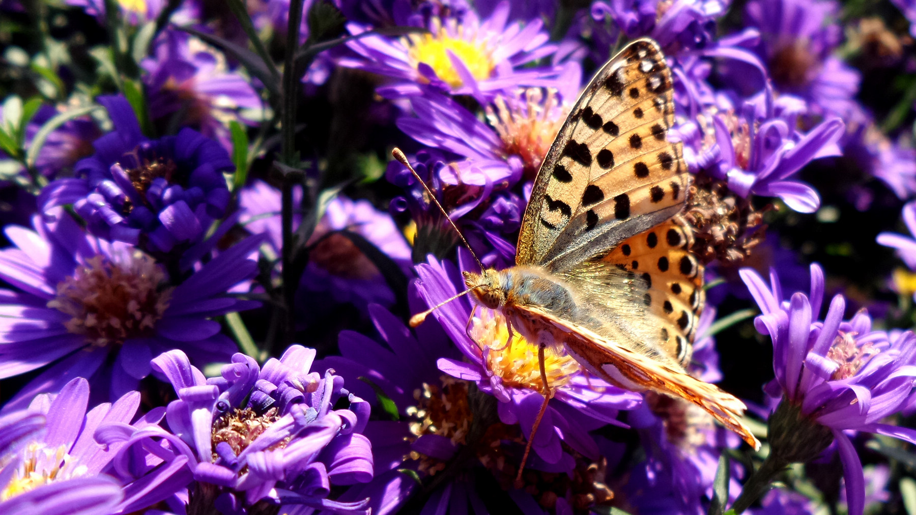 n20151003_142030.jpg