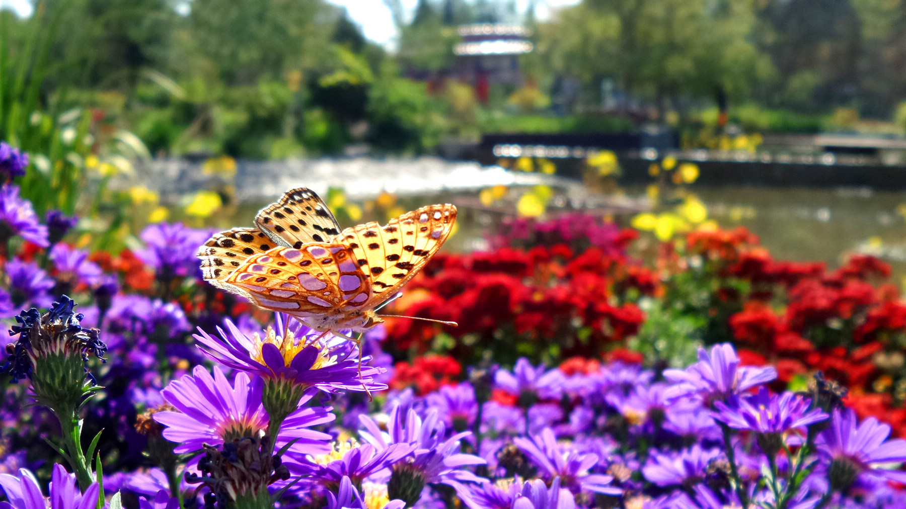 n20151003_141847.jpg