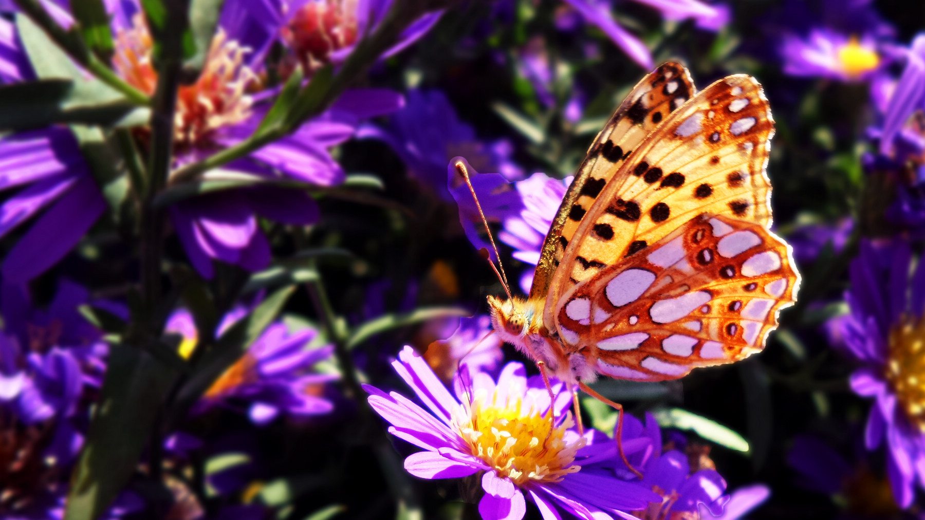 n20151003_142120.jpg