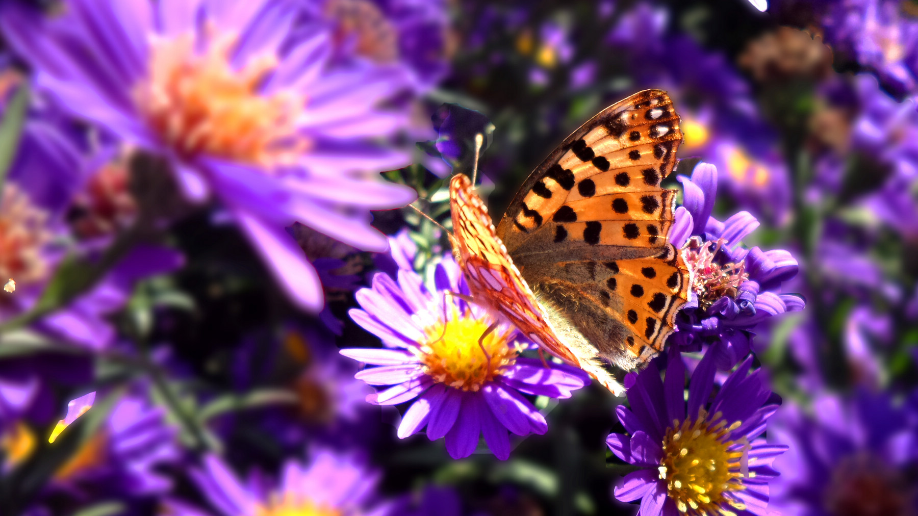 n20151003_142114.jpg