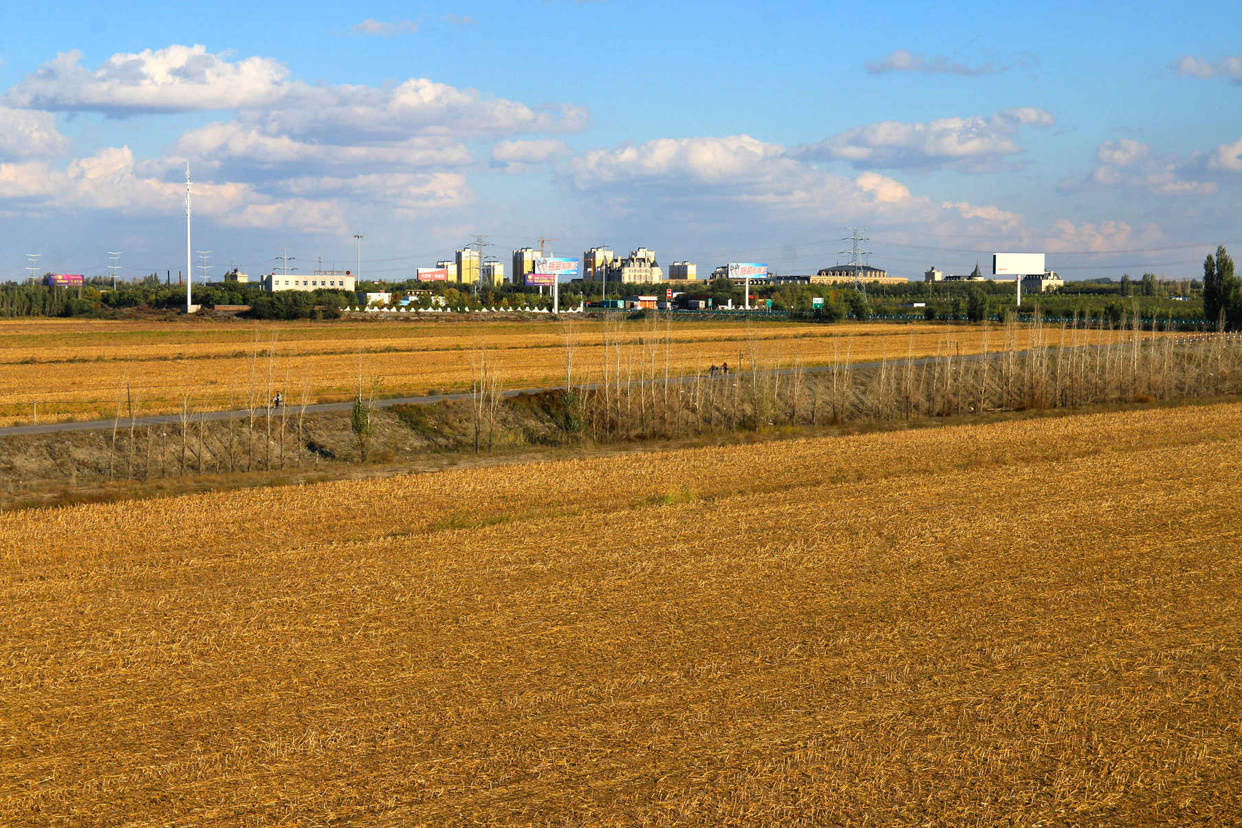 IMG_2389__.jpg
