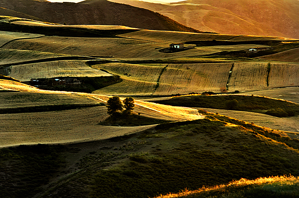 DSC_8451---2.jpg