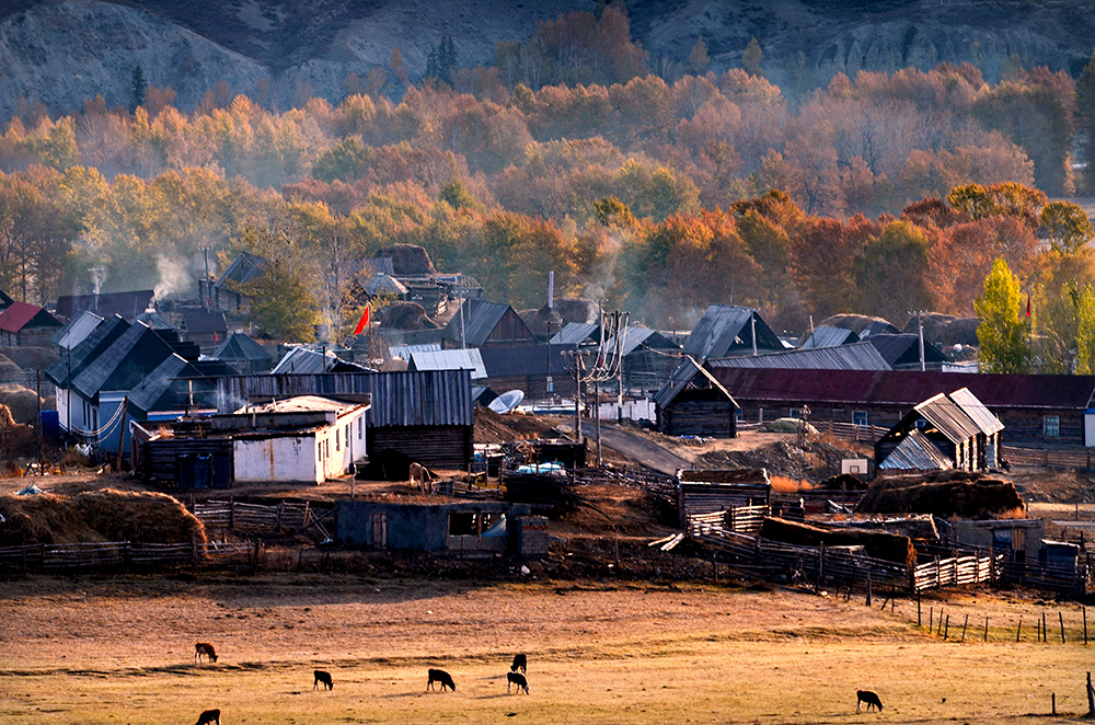 DSC_1804-1.jpg