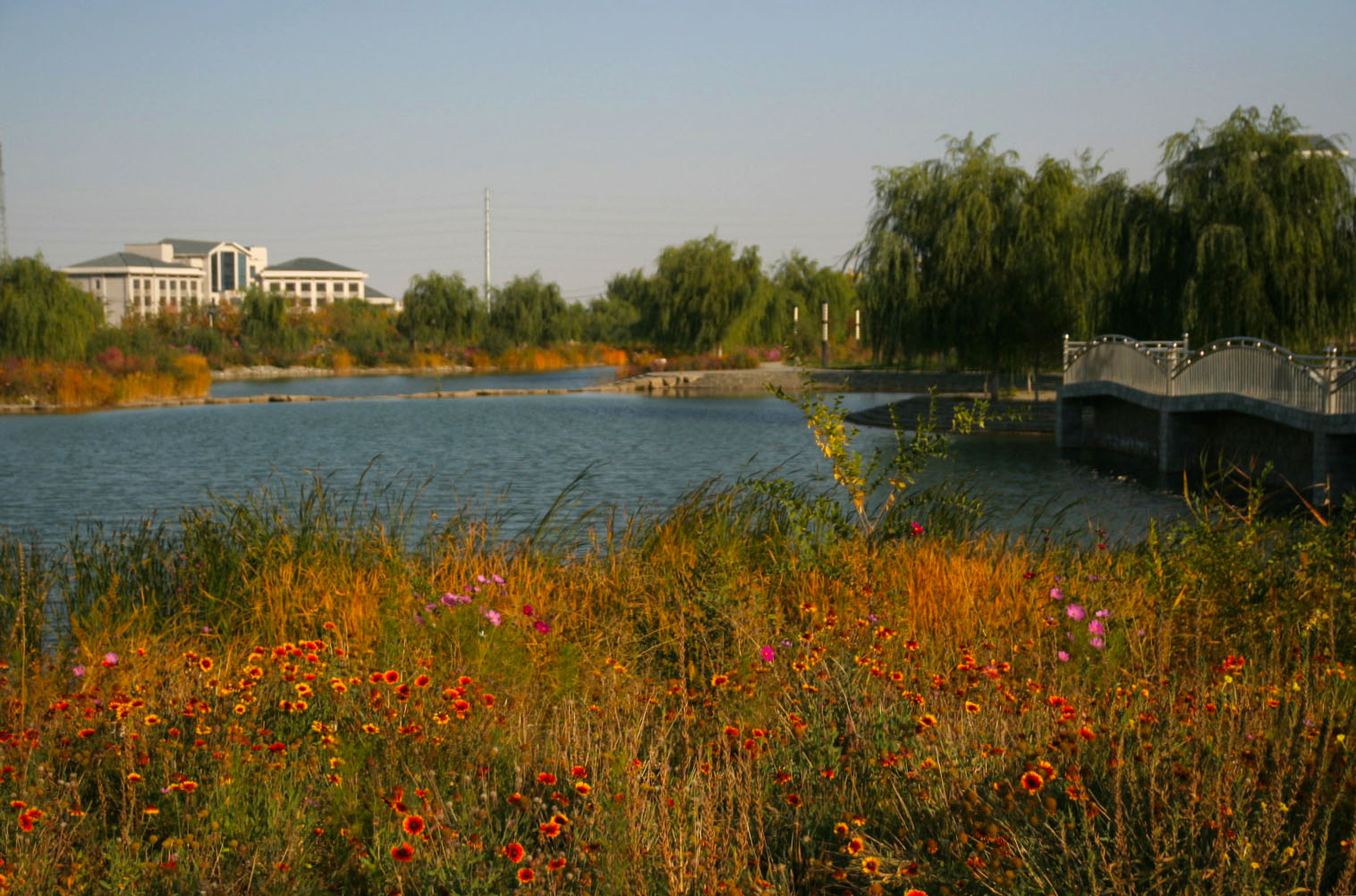 IMG_7290_.jpg