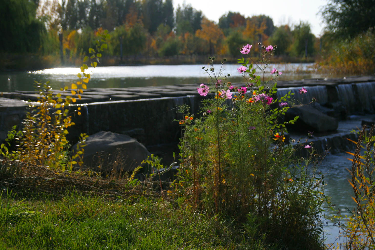 IMG_7313_.jpg