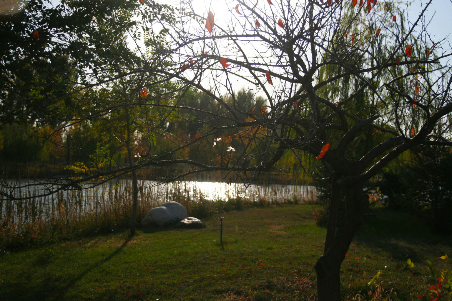 IMG_7316_.jpg