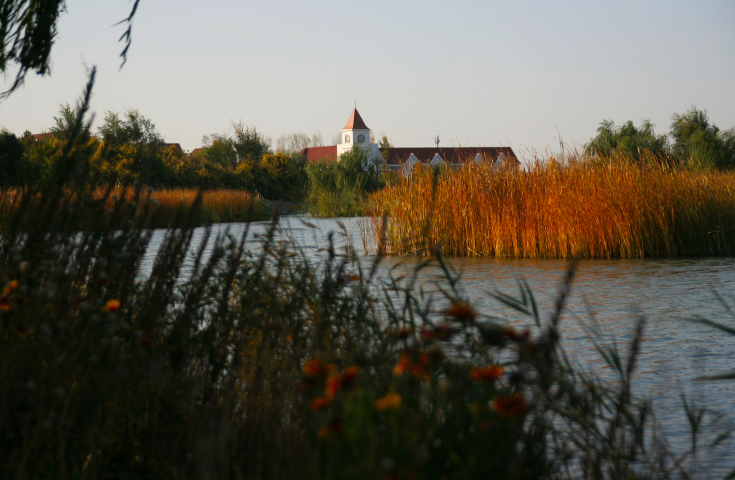 IMG_7328_.jpg