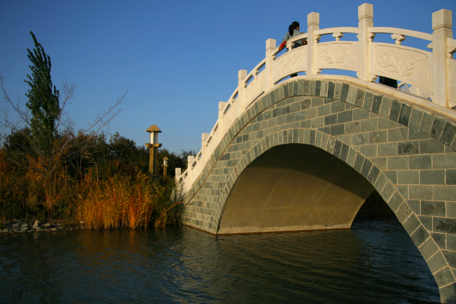 IMG_7361_.jpg