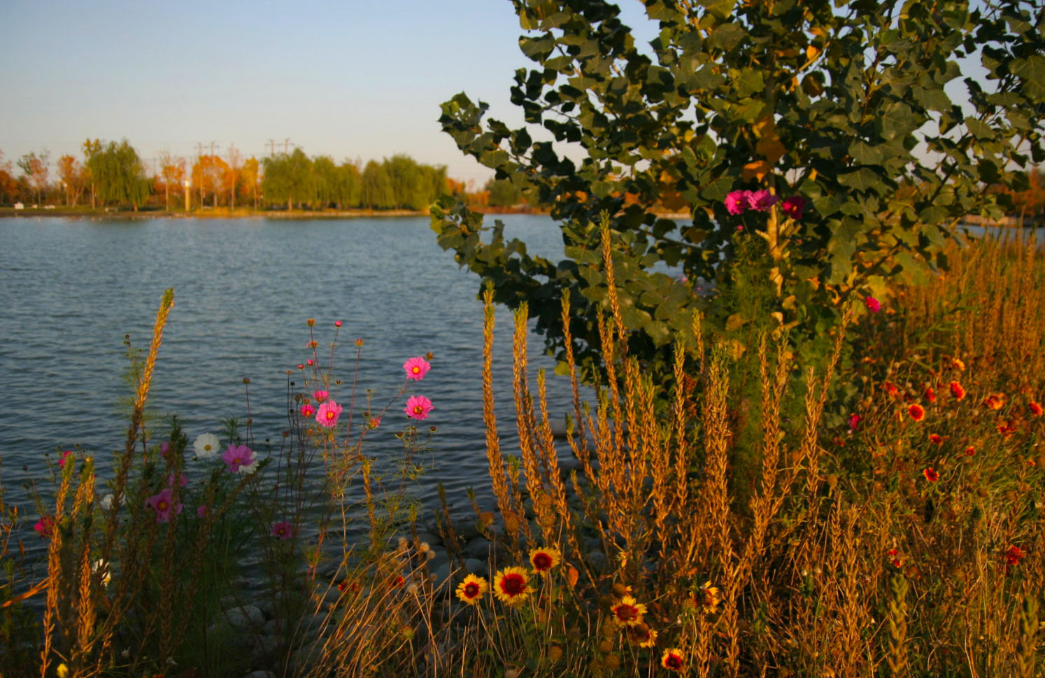 IMG_7363_.jpg