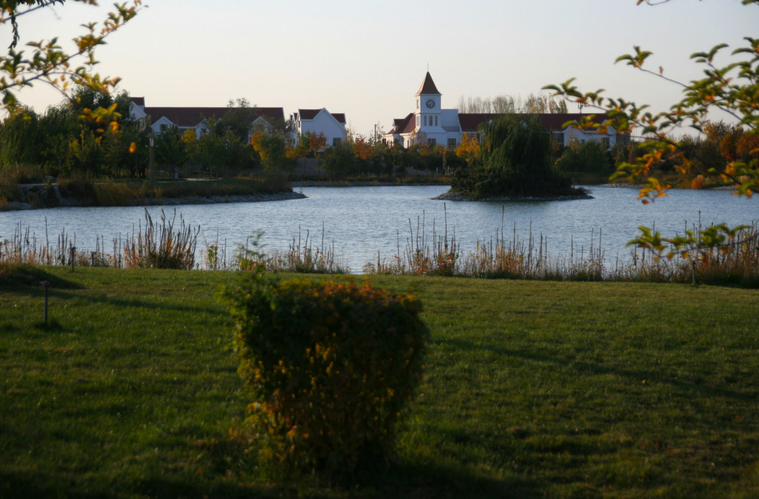 IMG_7365_.jpg