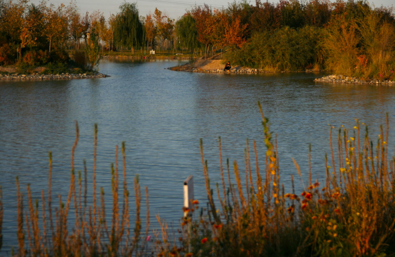 IMG_7383_.jpg
