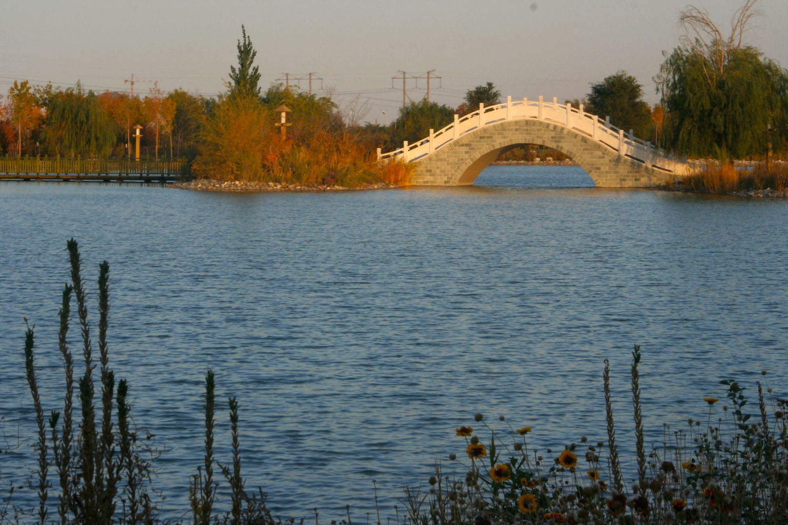 IMG_7386_.jpg