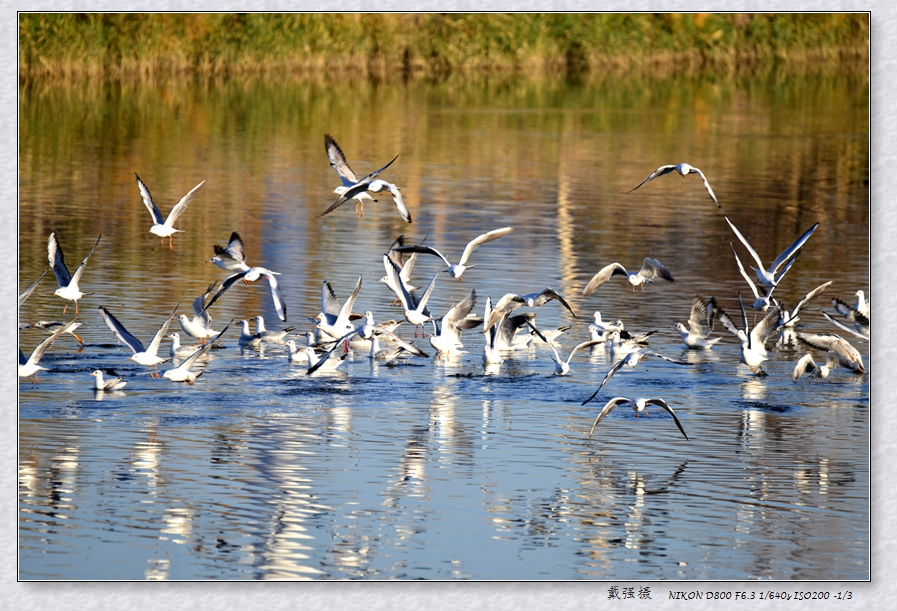 DQ1_0581_.jpg