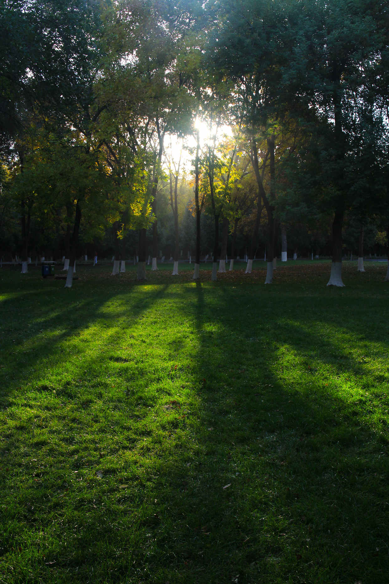 IMG_2448__.jpg