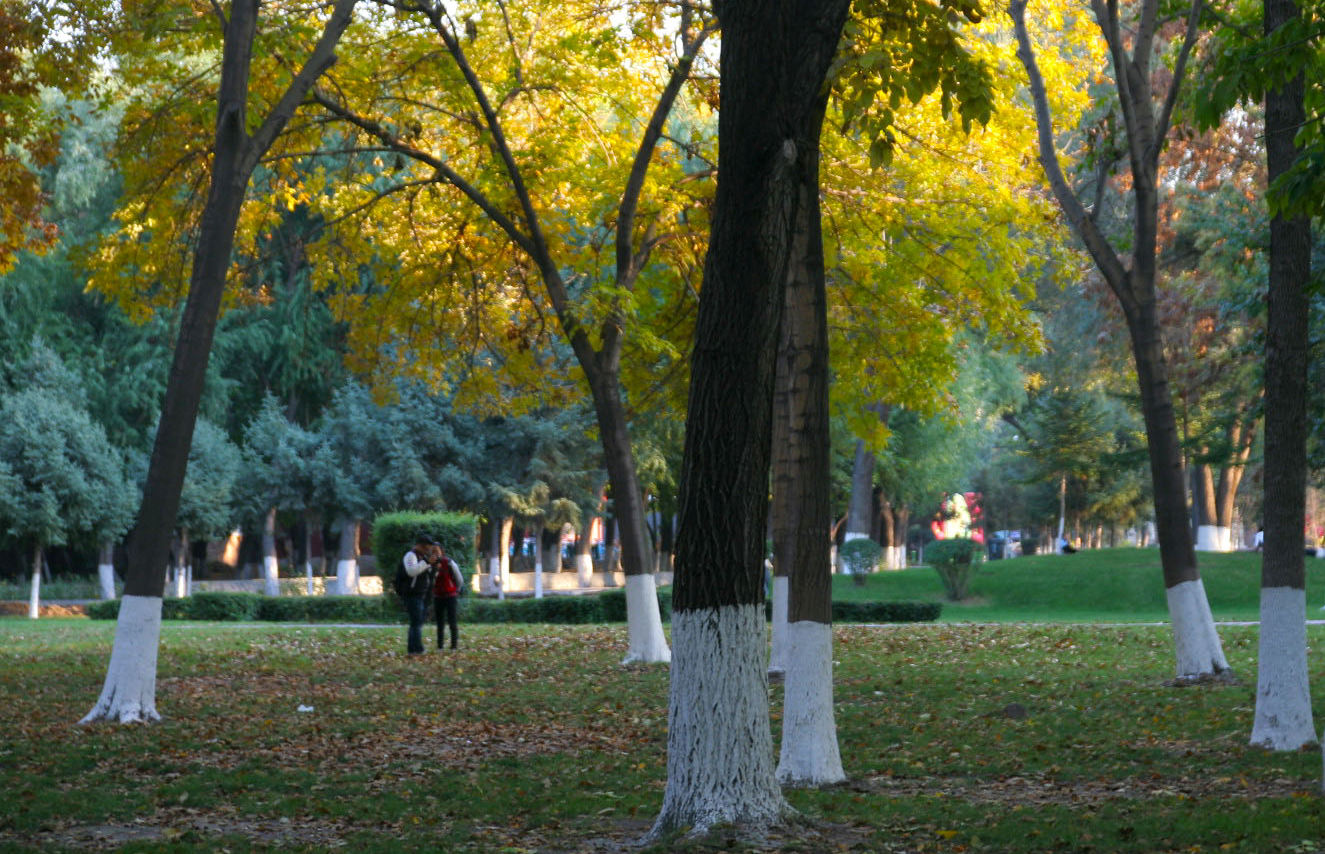IMG_7090__.jpg