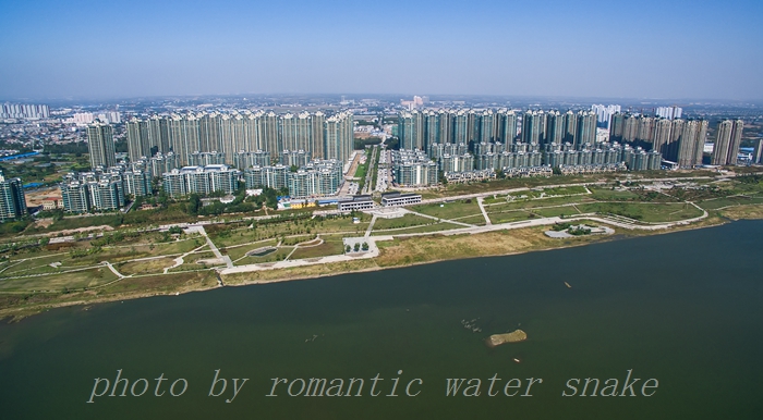 DJI_0010.jpg