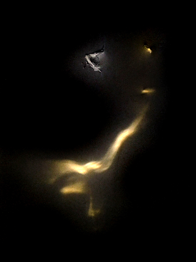 1𽱣ź-D1ζĹ⡷.jpg