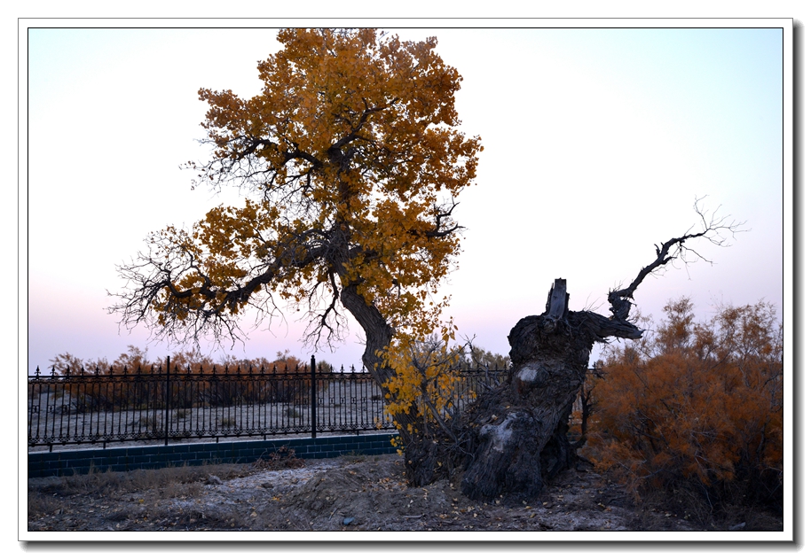 DQ1_0268_.jpg