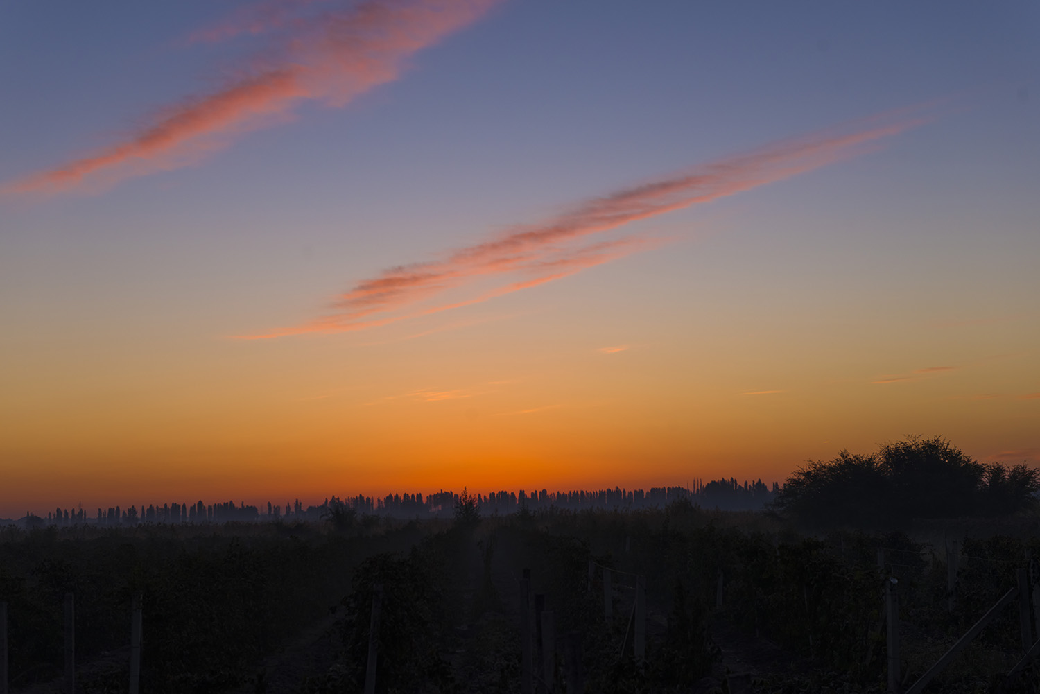 _DSC2747_1.JPG