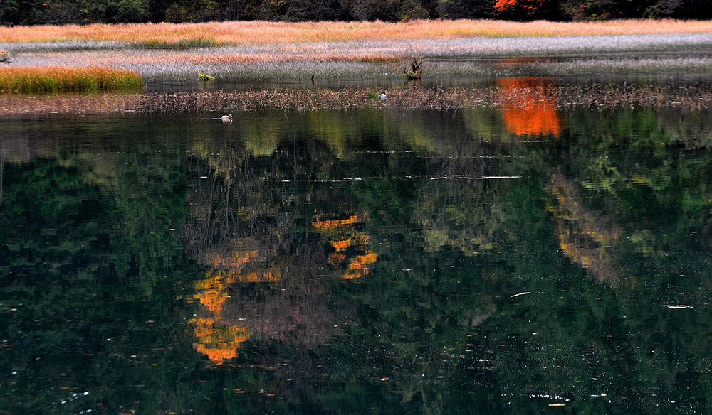 DSC_0023.JPG