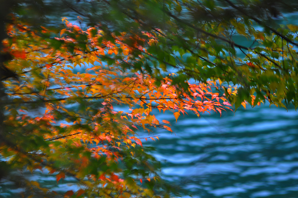 DSC_0047.JPG