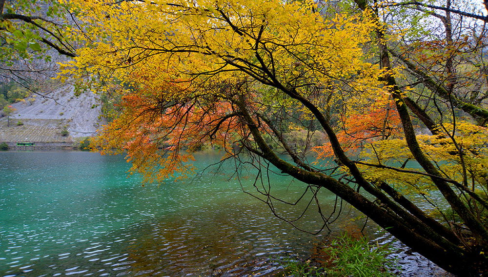 DSC_9080.JPG