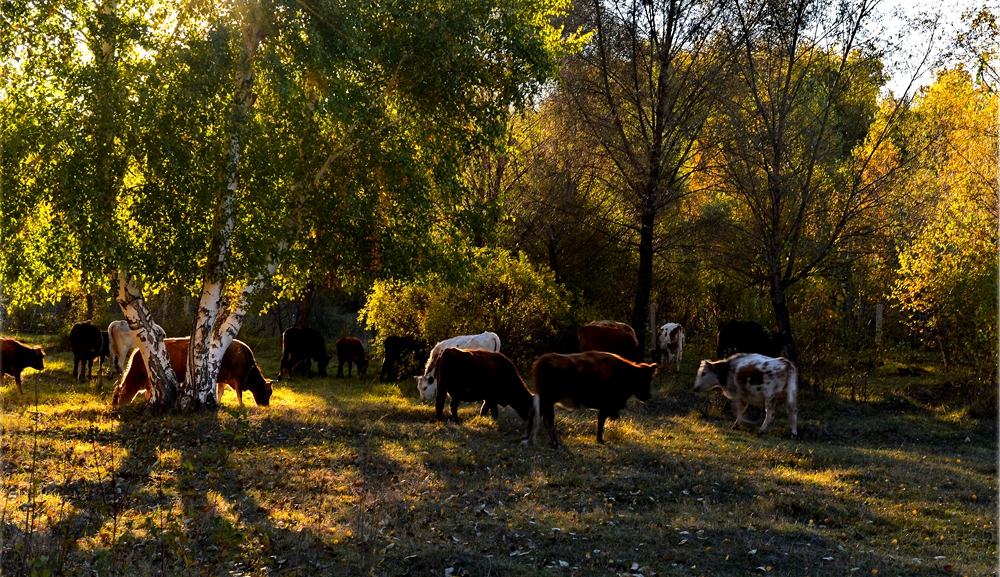 DSC_1538-1.jpg