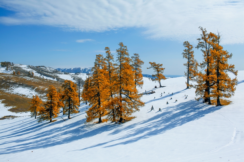 _MG_81041.jpg