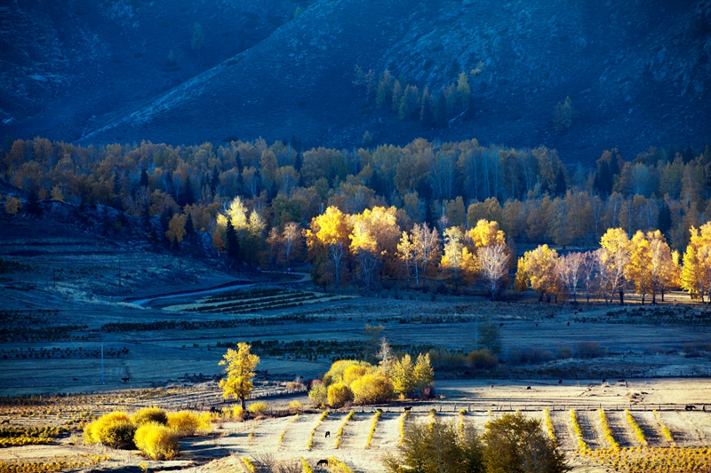 _MG_86271.jpg